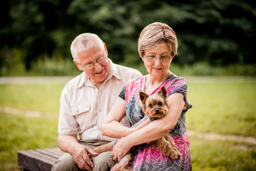 An Ideal Elder Residential Community In Sherrills Ford, NC For Pet Lovers