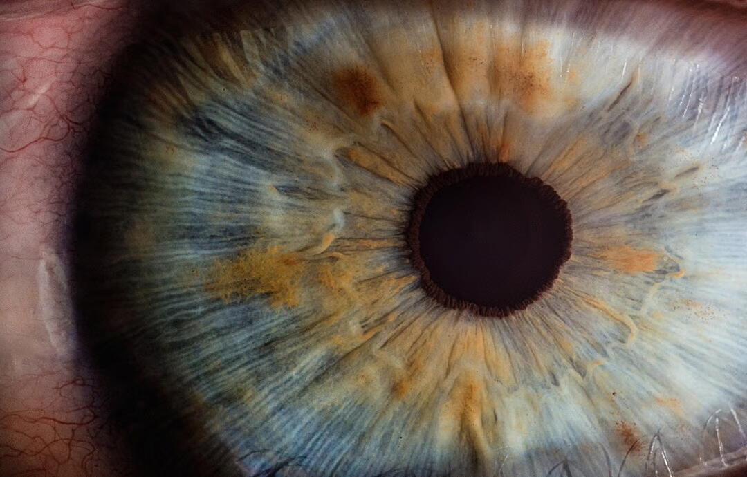 Healthy Vision Month: Tips for Senior Eye Care