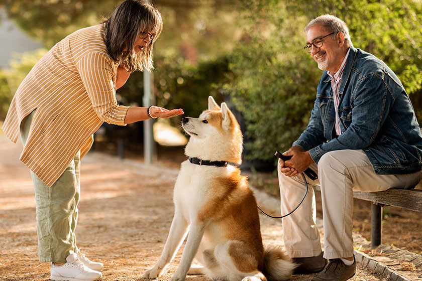 Independent Living Residences In Mooresville, NC: How A Supportive Neighborhood Improves Your Well-being