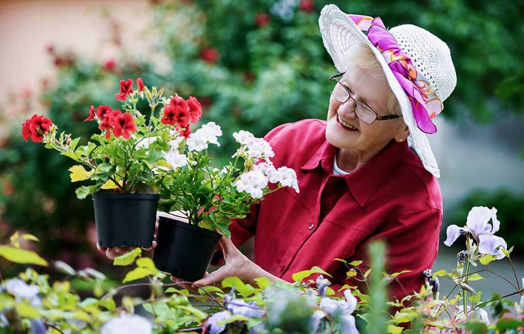 The Amazing Benefits Of Gardening For Seniors