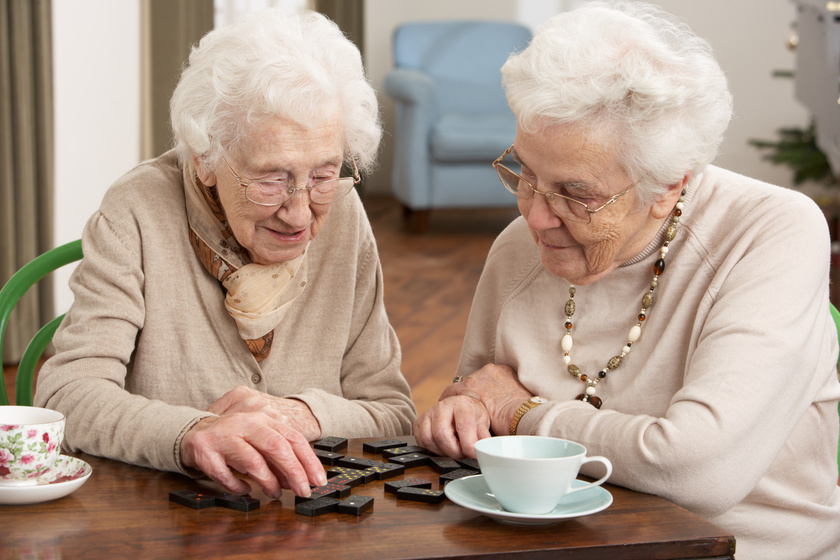 The Best Alzheimer's Senior Living Communities In North Carolina
